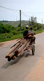 carting wood down the street